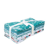 Ski Hill Bundle - Teal - Riley Blake Designs