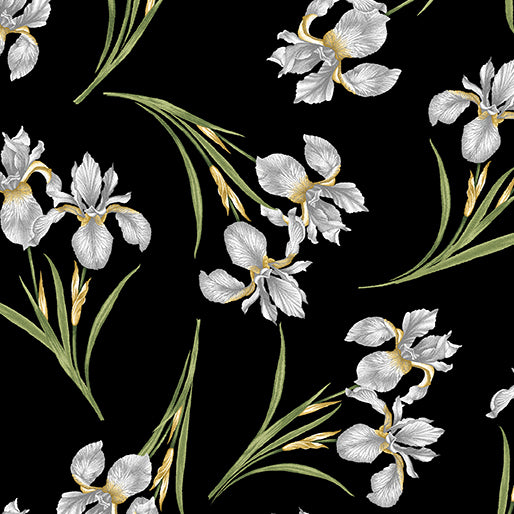 Magnificent Blooms - Iris on black - from Benartex