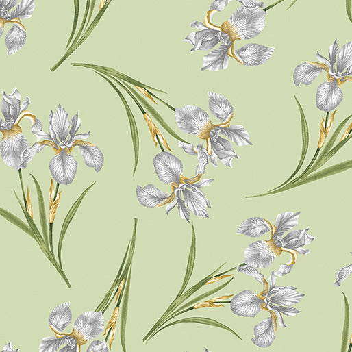 Magnificent Blooms - Iris on Sage - from Benartex