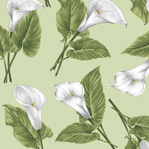 Magnificent Blooms - Calla Lilies on Sage Green - from Benartex